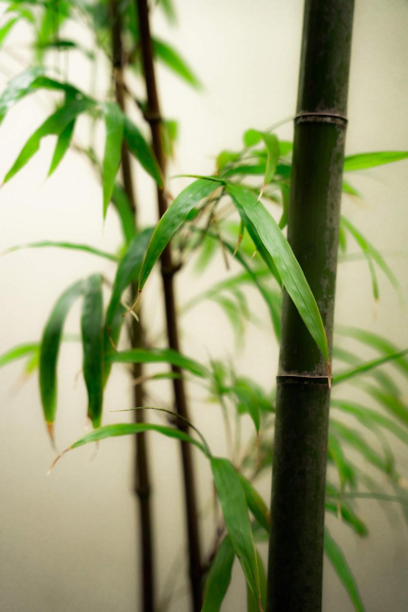 The Junei Hotel Kyoto Luaran gambar